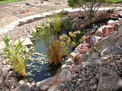 Water Features